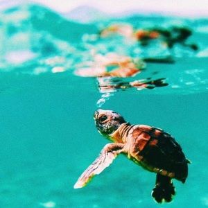 Meet your Posher, Katelyn